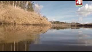 Рыбы, подводная съемка