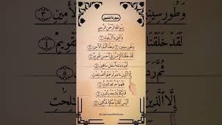 Let's Listen And Learn Surah At-Teen With Finger Tracking #surahteen #quran #beautiful #shorts