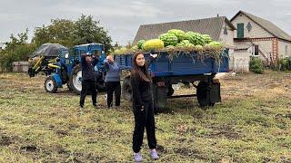 Все буде Україна! Бізнес вдома, кукурудза, буряк, кавуни — останній врожай...