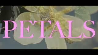 VOILÀ - Petals (Official Lyric Video)