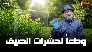 الخلطة السحرية للتخلص من ( الناموس والباعوض والصعو والهاموش والذباب )  بمكونات طبيعية بسيطة