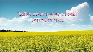 Выйду ночью в поле с конём (cover Любэ на жестовом языке) РЖЯ