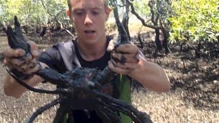 BACON OF THE SEA - Mud Crabs caught BAREHANDED - Catch n Cook | TDB