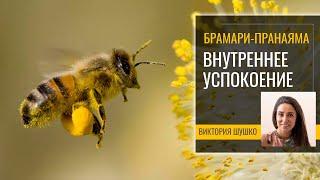 Пранаяма Брамари — обретение успокоения ума, стрессоустойчивости и внутренней гармонии
