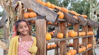 Greenspot Farm Mentone California Pumpkin Patch