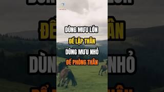 Dùng mưu lớn để lập thân Dùng mưu nhỏ để phòng thân
