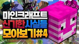 마인크래프트 신기한 사실들 모아보기 #4 (Minecraft) [블루위키]