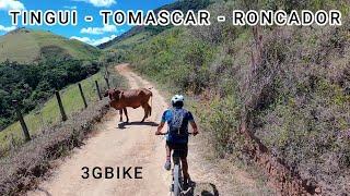 TINGUI   TOMASCAR   RONCADOR