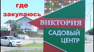 Где закупаюсь + советы начинающим клубничникам