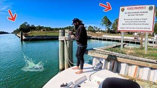 We Absolutely CRUSHED the Fish!