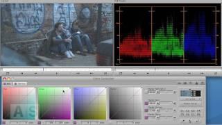 Avid Screencast #24: Color Correction Basics III - Manipulating Color Balance with Curves