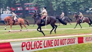 HEART-STOPPING: HORSE STAMPEDE ERUPTS ACROSS HYDE PARK