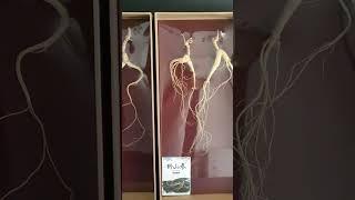 health benefits of ginseng #healthginseng