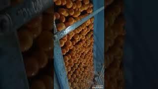 Maltay palish karnay ka new tariqa kar2018