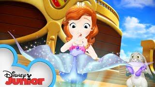 Sofia the Mermaid? | Sofia The First | @disneyjr