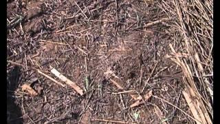 Farming God's Way Testimony Soil Restoration