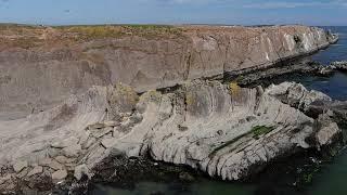 Drone View: Cape Arago Mudfossil Bioloigy