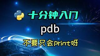 【python】来学学debugger吧，不能只会用print调试呀！