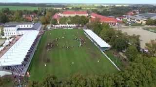 Hengstparade im Haupt und Landgestüt Neustadt (Dosse) 2014