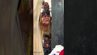 THE PROFESSIONAL TAILOR | AFRICA YOUTH IN LOVE COMEDY #youtube #funny #video #trending #viral #short