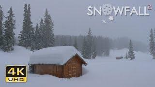 4K Snowfall II - Аlpine Snow - Relaxing Snowing Winter Video - Ultra HD - 2160p