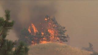 Forest Service Investments to Help Reduce Wildfire Risk