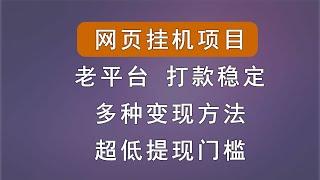 网页挂机赚钱项目，多种变现渠道，支持多开，老平台，打款稳定，无需要下载桌面文档，傻瓜式操作。