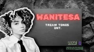 TREAM TONES ENT - Wanitesa