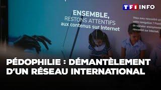 Enquête - Pédophilie : démantèlement d’un réseau international｜TF1 INFO