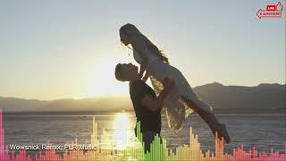PLR Music 40, Wowsnick Remix ️Royalty-Free Best Audio Tracks, Non-Copyright Background Music