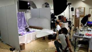 Dog photo shooting