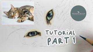 How to Draw a Tabby Cat in Coloured Pencil | Drawing Tutorial Part 1