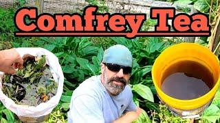 Comfrey Tea - our 7 day recipe - natural fertilizer