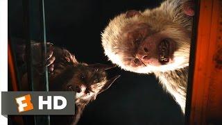 Goosebumps (8/10) Movie CLIP - There's No Escaping From Us (2015) HD