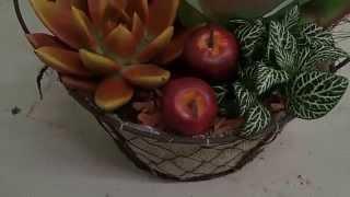 Plant Creations