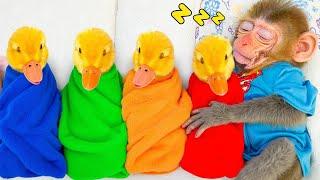 Bebe Mono BonBon duerme con el patito y rescata a sus amigos del agujero. - MONO BONBON ESP