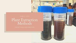 Plant Extraction Methods - Decoction and Maceration | JPTV