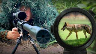 Hunting with Air Powered Sniper Rifle!