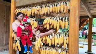 How to harvest and preserve corn | traditional - Chúc Tòn Bình