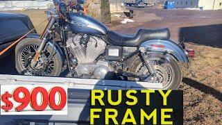 We buy the Cheapest Harley-Davidson on Facebook $900.00 2003 Sportster 883. Rusted frame. Part 1