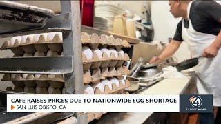 Egg shortage due to bird flu