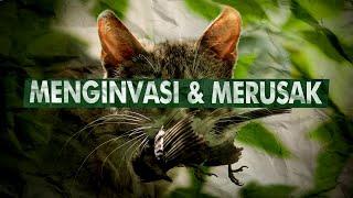 Mahluk Hidup Yang Justru Harus Dibunuh | Spesies Invasif, Invasive Species