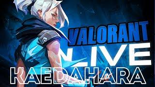  MAYBE PREMIER TODAY? | Valorant LIVE! | Life of a G3 Player! | #valorant