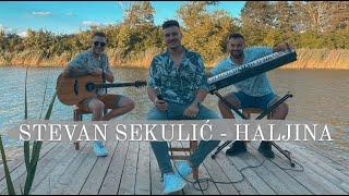 STEVAN SEKULIC - HALJINA (COVER 2022)