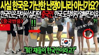 사실 한국은 가난한 난쟁이 나라잖아? 한국인은 작아서 싫다던 중국인, 한국 도착하자 얼빠진 이유..