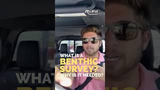 What is a Benthic Survey and why is it needed? #floridakeys #florida #construction #fypシ