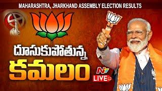 Live: Maharashtra & Jharkhand Election Results 2024 Live Updates | Ntv