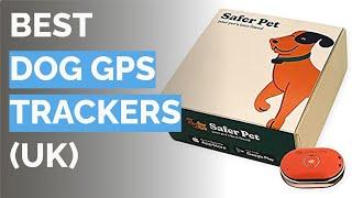  9 Best Dog GPS Trackers