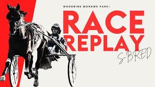 Mohawk, Sbred, February 28, 2025 Race 3 | Woodbine Horse Race Replay