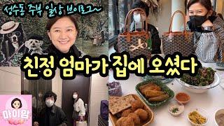 친정 엄마가 오셨다 (성수동 주부 데이트 일상 브이로그) 마이맘 TV